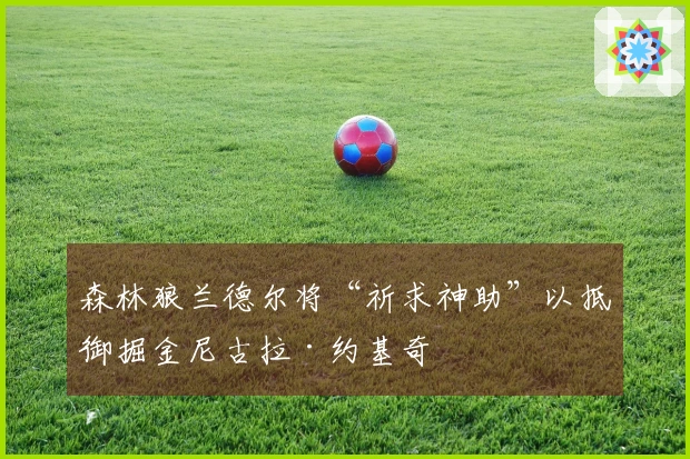 森林狼兰德尔将“祈求神助”以抵御掘金尼古拉·约基奇